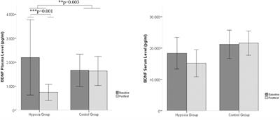 Daily Intermittent Normobaric Hypoxia Over 2 Weeks Reduces BDNF Plasma Levels in Young Adults – A Randomized Controlled Feasibility Study